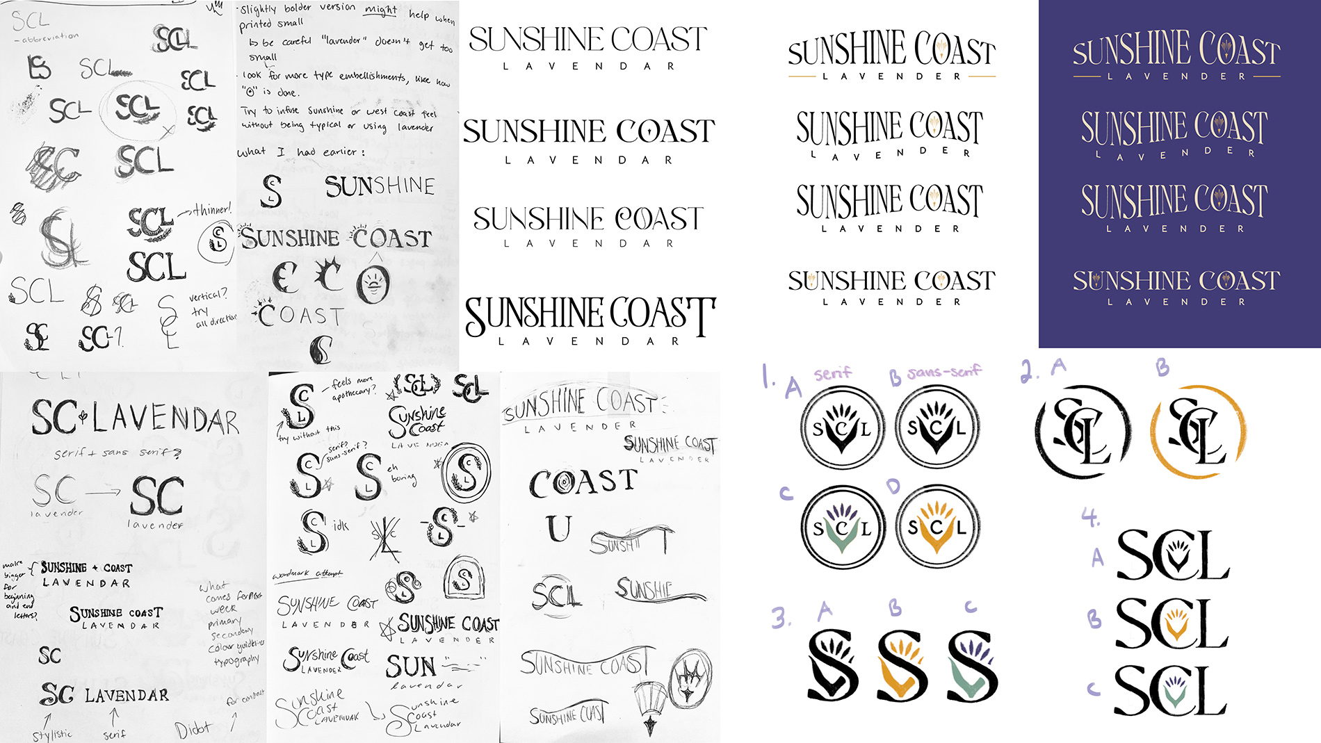 Sunshine Coast Lavender logo exploration and sketches.